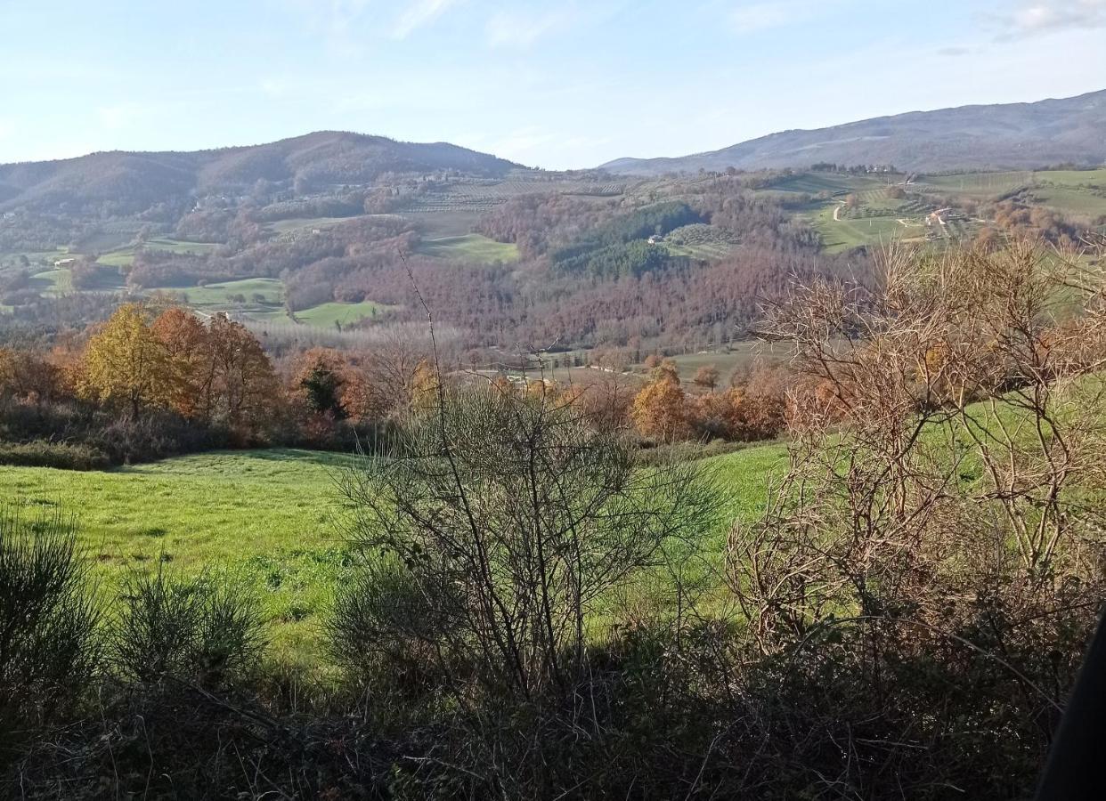 B&B Casale Ormano San Venanzo Εξωτερικό φωτογραφία