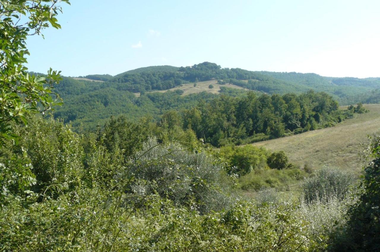 B&B Casale Ormano San Venanzo Εξωτερικό φωτογραφία